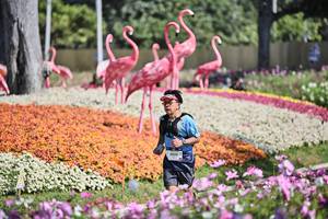 BIB: 
                            <button type="button" onclick="openModal(27793580)" class="btn btn-primary btn-sm float-right btn-popup" data-toggle="modal" data-target=".modal-high-quality">
                        <i class="fas fa-shopping-cart"></i> Add to Cart
                    </button>
                                            <button type="button" onclick="isThisMe(27793580, true)" class="btn btn-success btn-sm float-right btn-popup btn-isme hidden" data-toggle="tooltip" data-placement="bottom" title="นี่คือรูปของคุณใช่ไหม คลิกที่นี่เพื่อเอาเข้าอัลบั้ม">
                        <i class="fas fa-plus"></i> Add to album
                    </button>
                    <button type="button" onclick="isThisMe(27793580, false)" class="btn btn-warning btn-sm float-right btn-popup btn-isnotme hidden">
                        <i class="fas fa-ban"></i> Remove from album
                    </button>